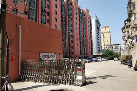 杏子灰配什么颜色电视背景墙